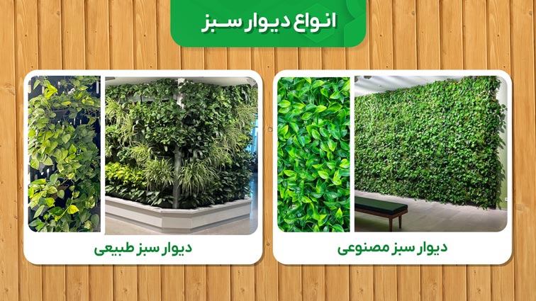 انواع دیوار سبز