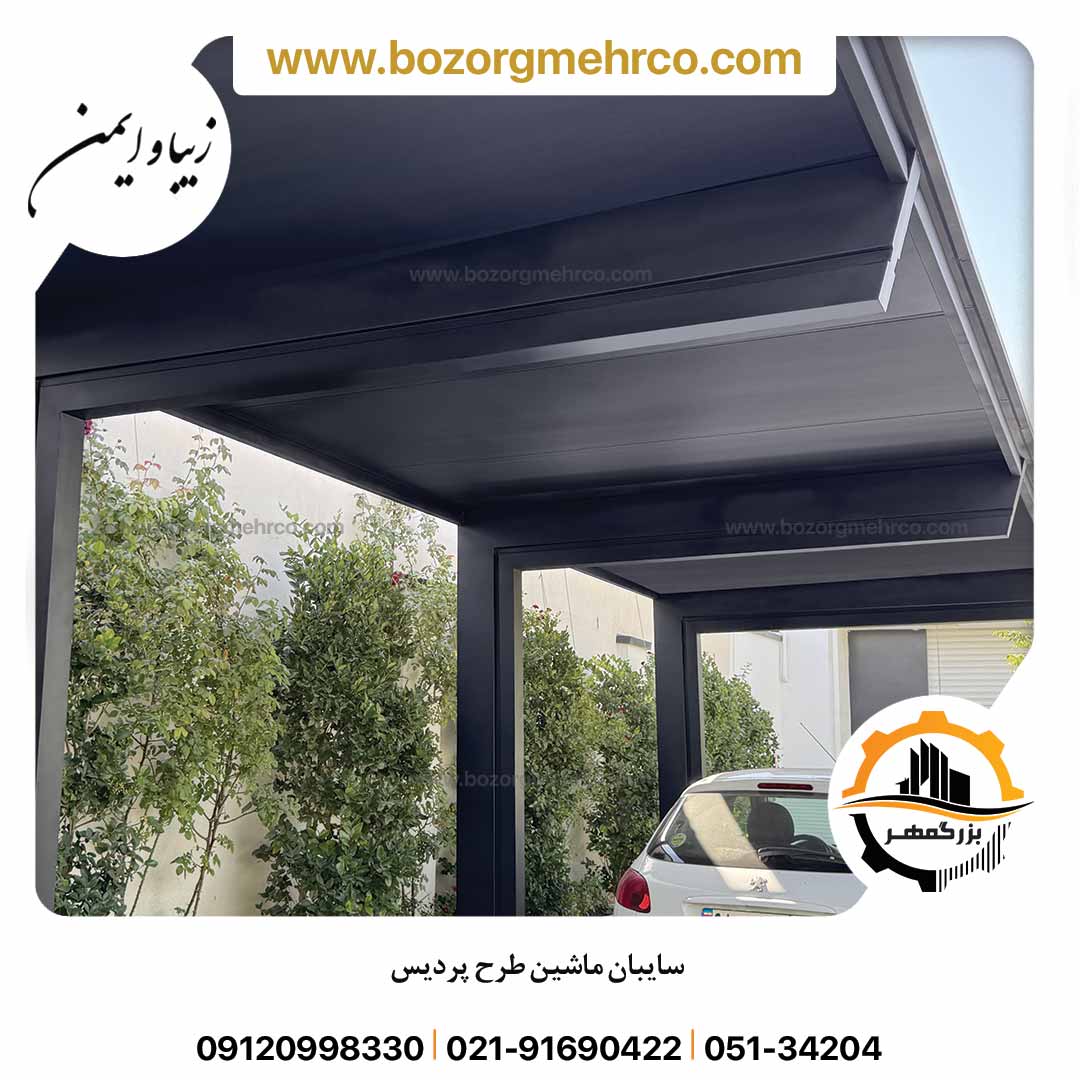 Canopy_car_Laser_Metal_Pardis_BL_P0027